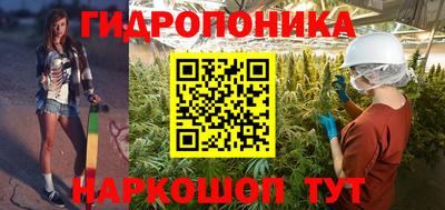 трава Новокубанск