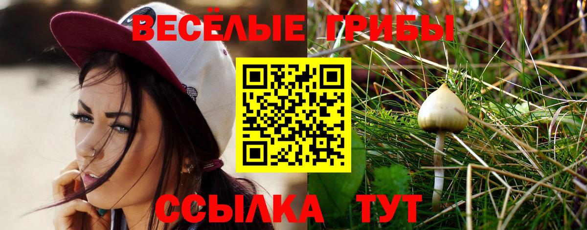 Галлюциногенные грибы Psilocybine cubensis Сызрань
